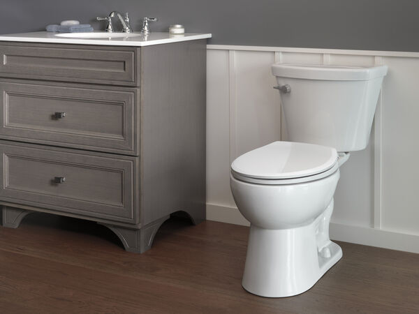 5 The Best Delta Toilet Reviews And Buying Guide 2022